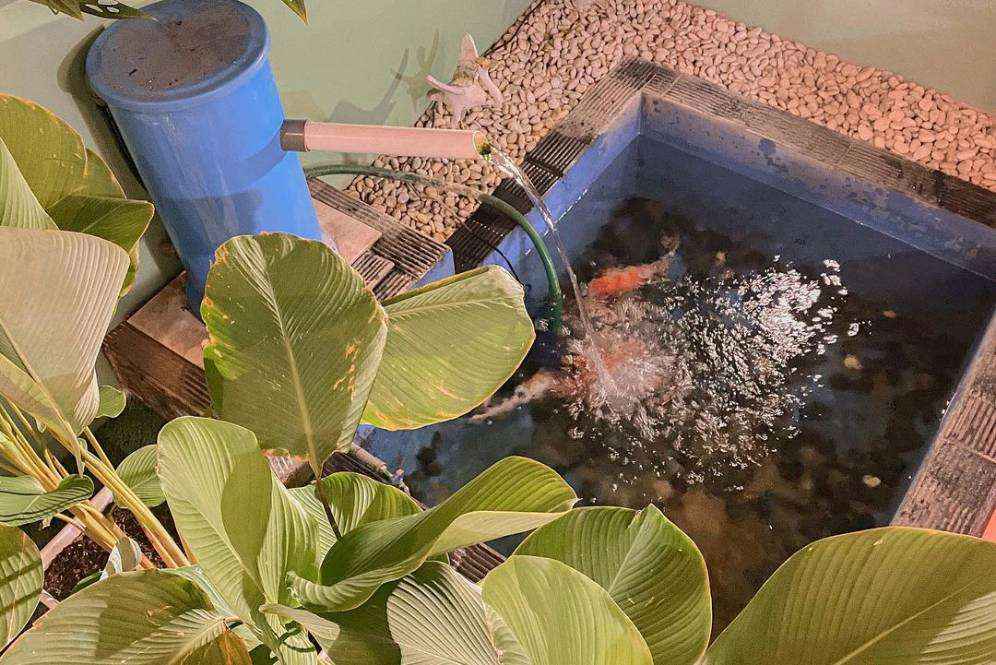Kolam ikan