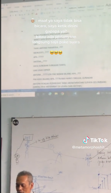 TikTok @metamorphosit__