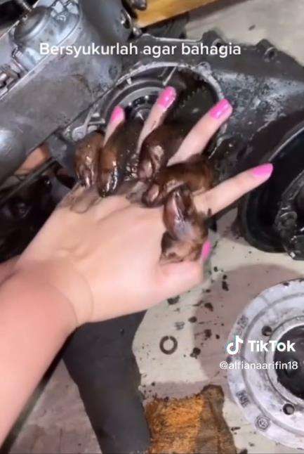 Pasangan berjuang dari nol hingga sama-sama lulus S-2
