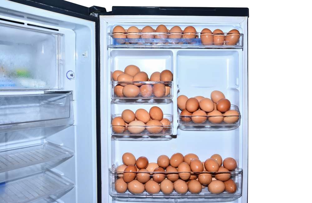 Menyimpan Telur di Pintu Kulkas