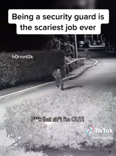 TikTok @h0rrort0k