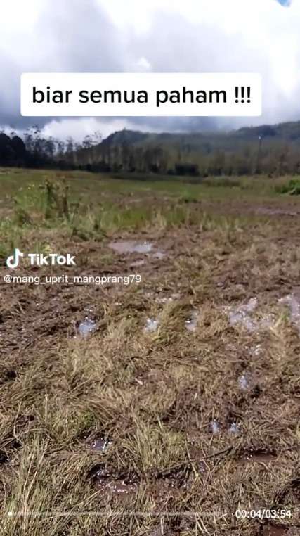 Viral Video Petani Edelweis Naik Pitam, Lahannya Hancur Dilindas Rombongan Motor Trail