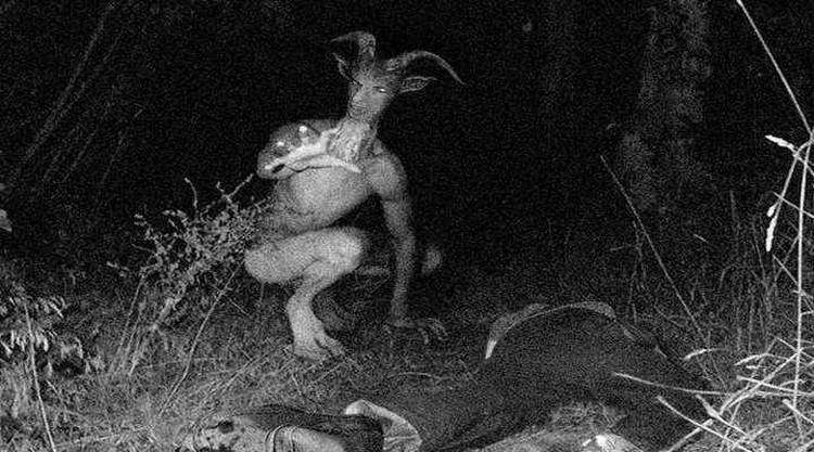 Foto menyeramkan yang diambil dari kehidupan nyata.