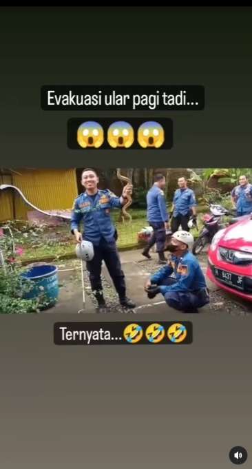 Damkar Penuh Waspada dan Hati-Hati Amankan Ular, Ternyata Cuma Mainan