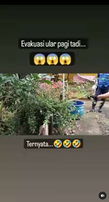Damkar Penuh Waspada dan Hati-Hati Amankan Ular, Ternyata Cuma Mainan