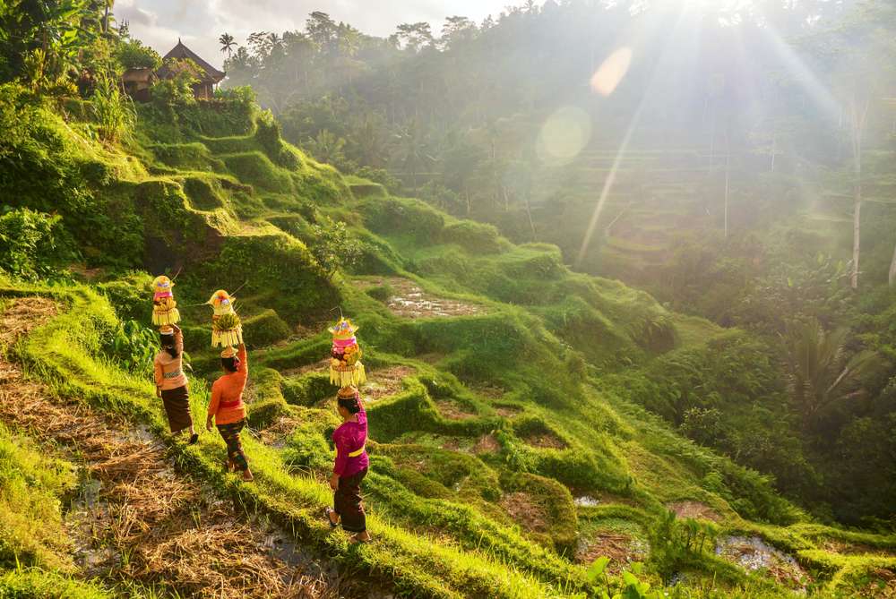 ubud bali