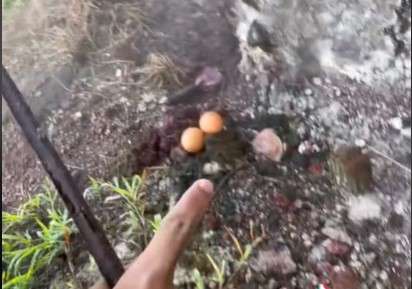 Masak telur