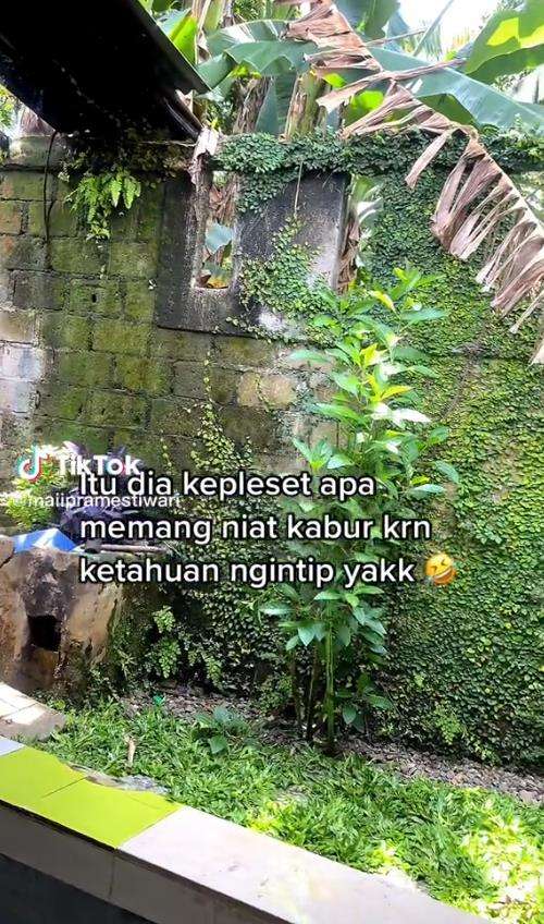 ketahuan ngintip, 'tetangga' jatuh terpeleset saat kabur.