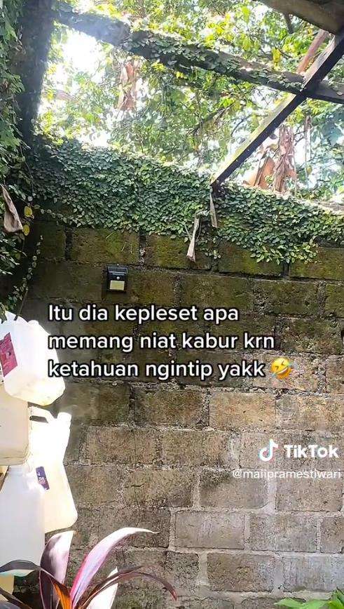 ketahuan ngintip, 'tetangga' jatuh terpeleset saat kabur.