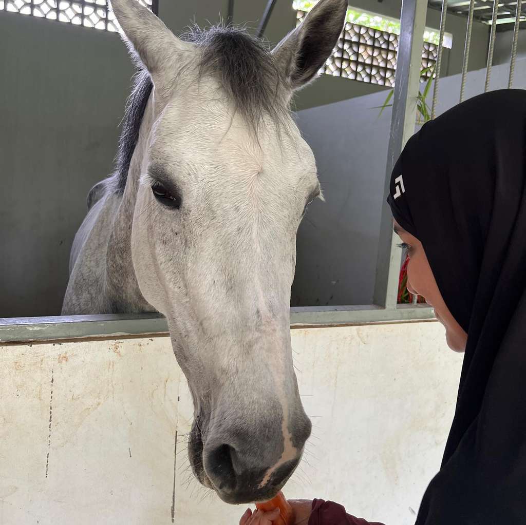 Shireen Sungkar dan kuda barunya