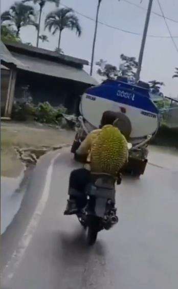 Viral pengendara motor bonceng durian raksasa.