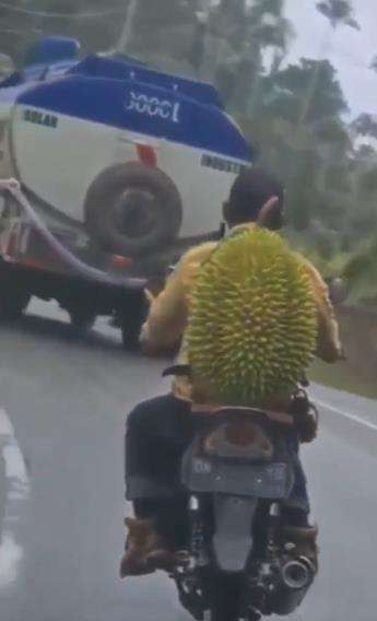 Viral pengendara motor bonceng durian raksasa.