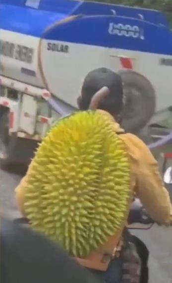 Viral pengendara motor bonceng durian raksasa.