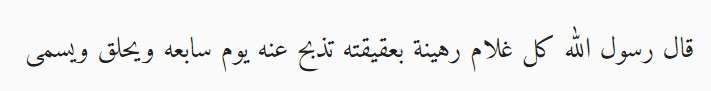 Hadis akikah