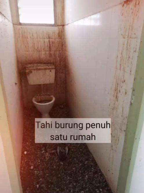 Beli rumah lelang dari luar bagus dalamnya hancur.