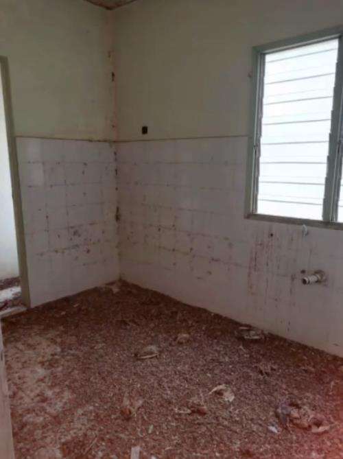 Beli rumah lelang dari luar bagus dalamnya hancur.