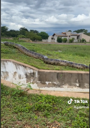 TikTok @Gabrielao4