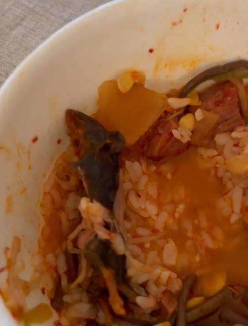 Viral pesan seogogi dapat 'bonus' bangkai tikus.