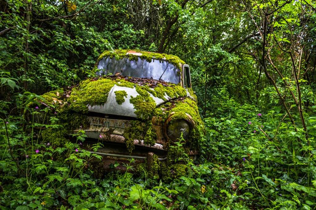 Rumah Tak Berpenghuni, Di Sekitarnya Banyak Mobil Antik dan Helikopter
