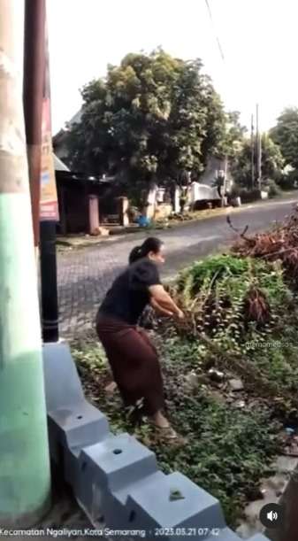 ras Terkuat di Bumi! Aksi Nekat Emak-Emak Tangkap Ular 3 Meter Tangan Kosong Bikin Warganet Melongo