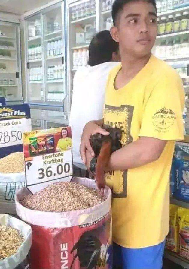 Deretan foto biasa ini baru bikin ngakak jika di-zoom.