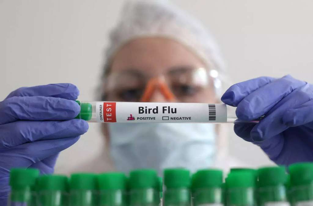 Tes flu burung