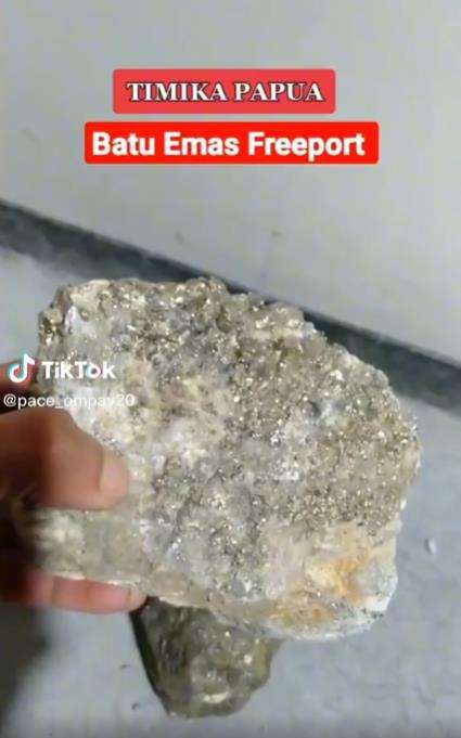 Batu emas Freeport Indonesia.