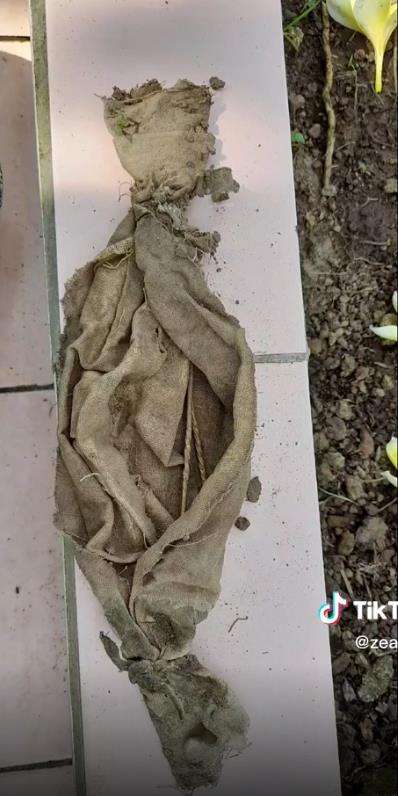 Seram! Ziarah makam adik malah temukan bungkusan berbentuk pocong