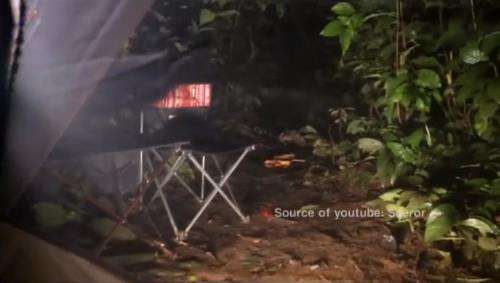 Tengah malam iseng bakar terasi di tengah hutan.