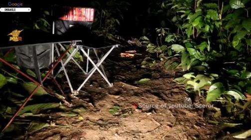 Tengah malam iseng bakar terasi di tengah hutan.
