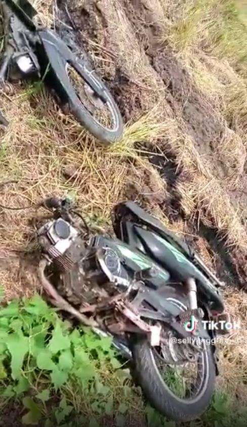 Apes, motor patah jadi dua di dekat sawah.