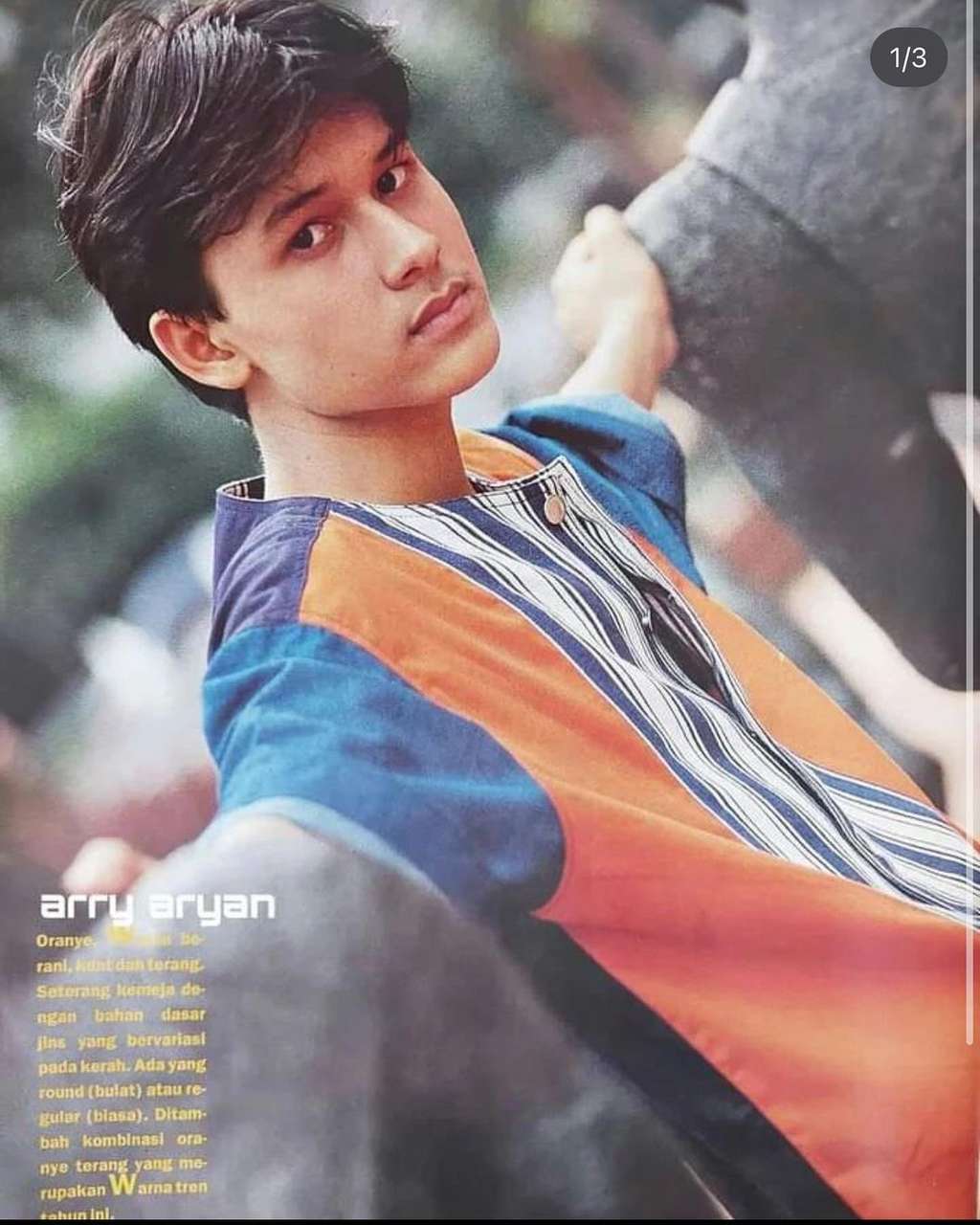 Indra L Bruggman Indra L Bruggman