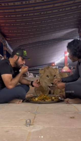 Bikin Deg-Degan Momen Warga Dubai Buka Puasa Bareng Singa, Warganet: Kalau Masih Lapar Tinggal Hap!