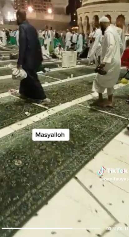 Viral RIbuan Jangkrik Penuhi Masjidil Haram, Jemaah Kesulitan Beribadah