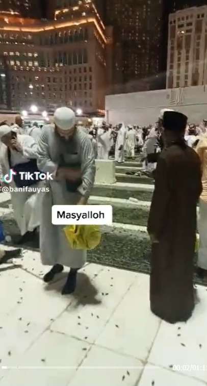 Viral RIbuan Jangkrik Penuhi Masjidil Haram, Jemaah Kesulitan Beribadah