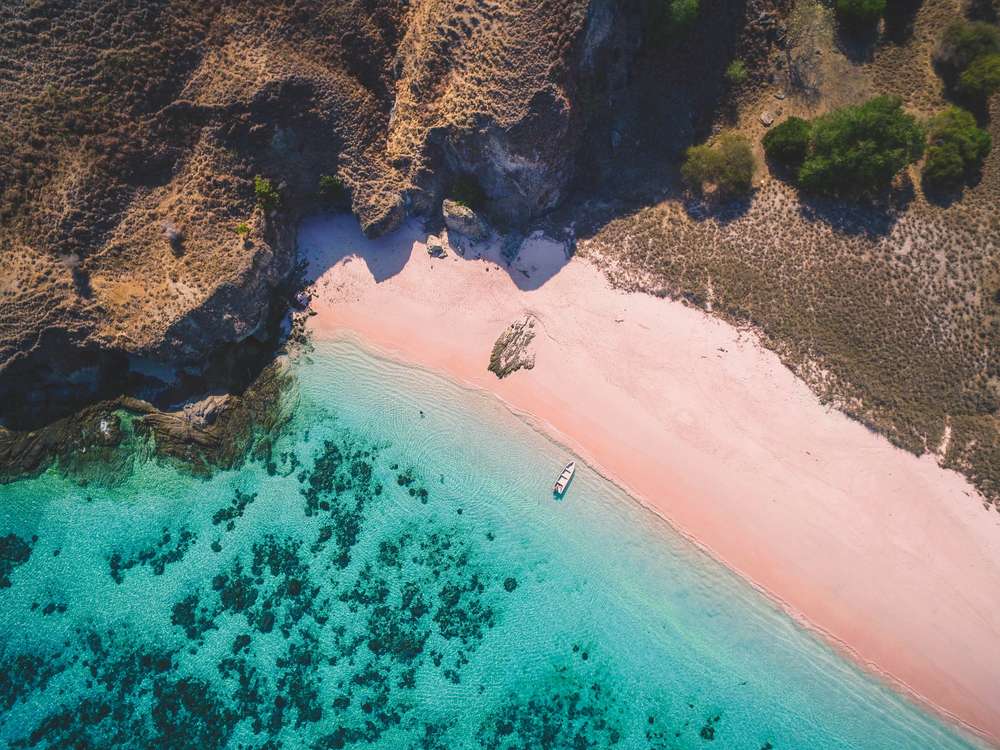 pantai pink
