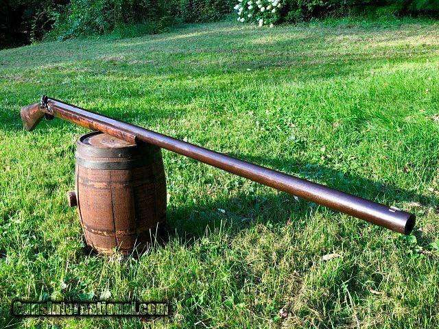Senapan 'Punt Gun'