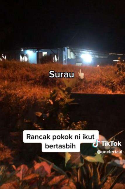 Tanaman bertasbih di malam Ramadhan.