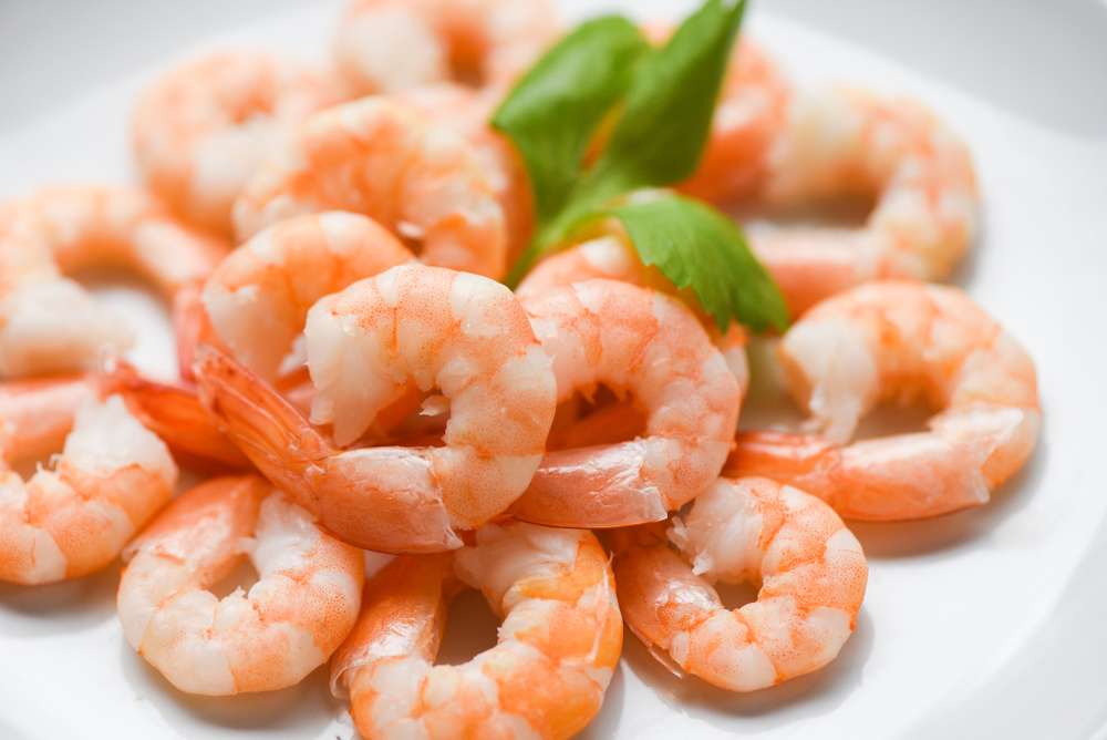 Udang
