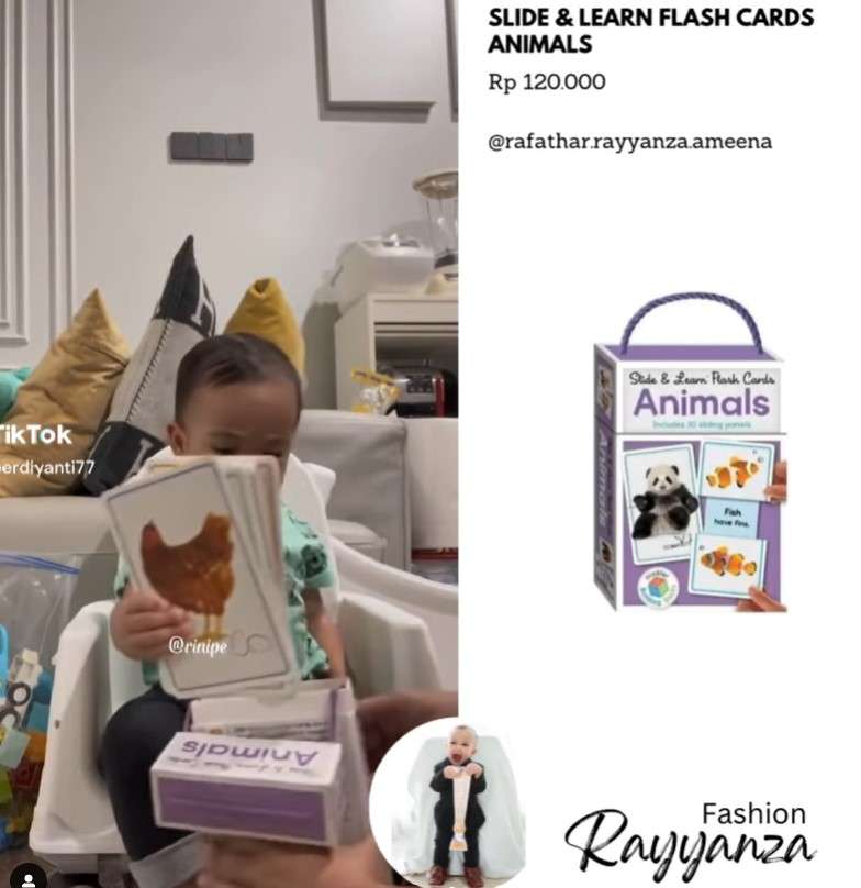 Flash Card Animals