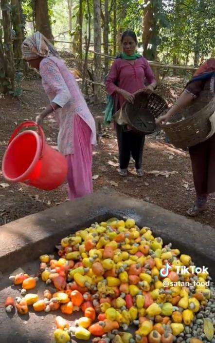 Proses pembuatan minuman fermentasi ala India yang bikin mual.