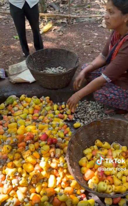Proses pembuatan minuman fermentasi ala India yang bikin mual.