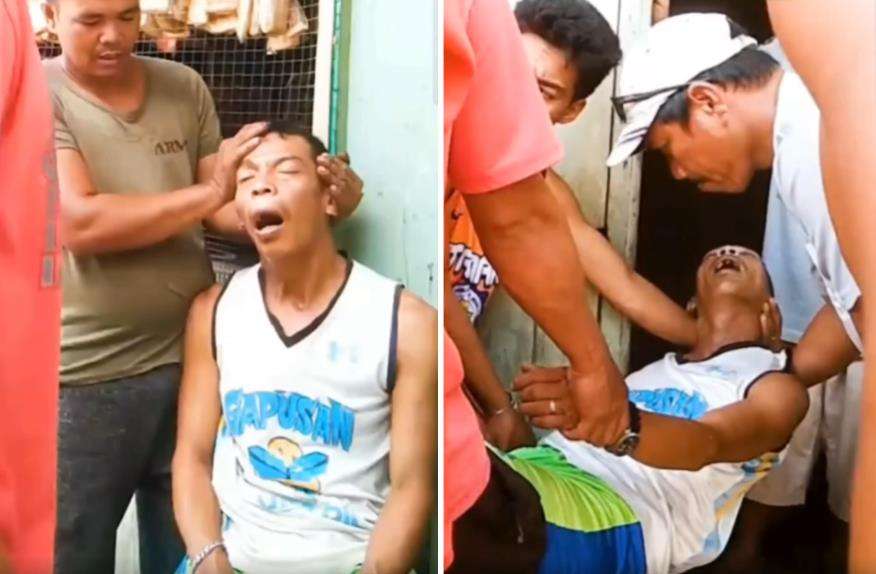 Pria meregang nyawa usai bermain kepala king kobra yang dikira sudah mati.