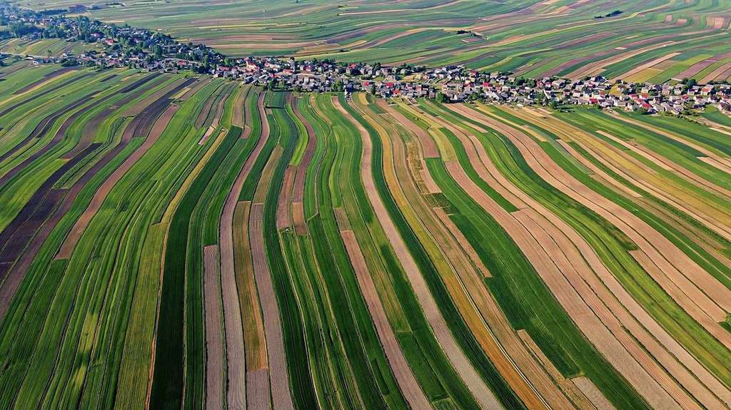 desa Sułoszowa