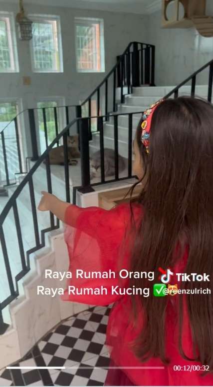 Kucing Sultan! Punya Rumah Mewah Lengkap Ada Kolam Renangnya, Bikin Warganet Iri