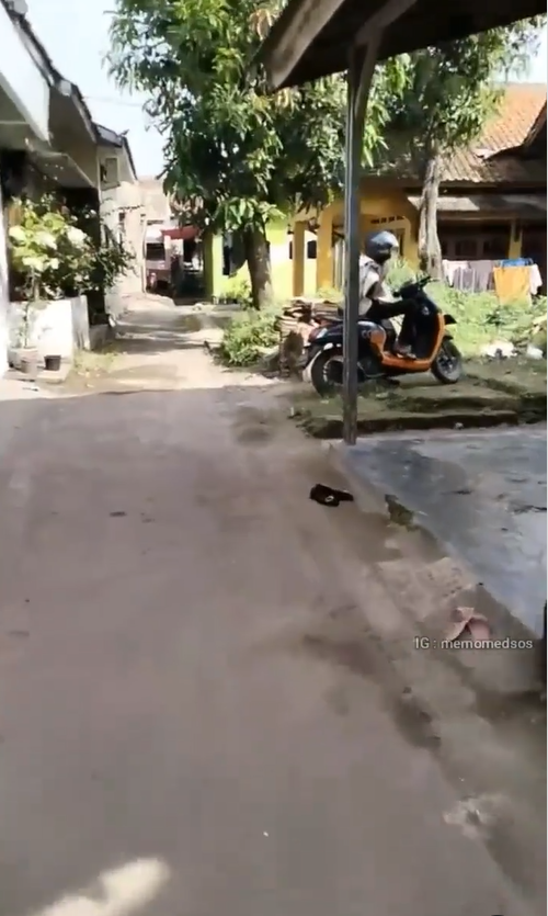 video viral