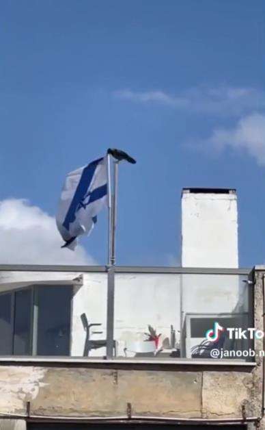 Aksi nyeleneh burung gagak lepas bendera Israel.