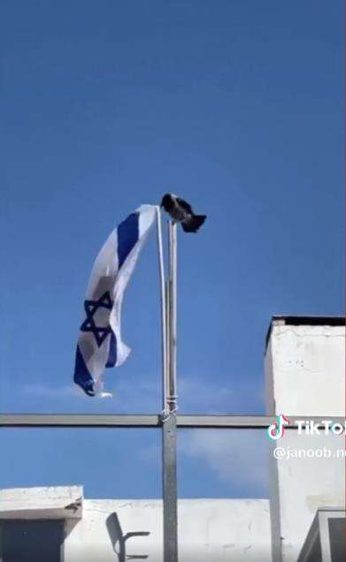 Aksi nyeleneh burung gagak lepas bendera Israel.