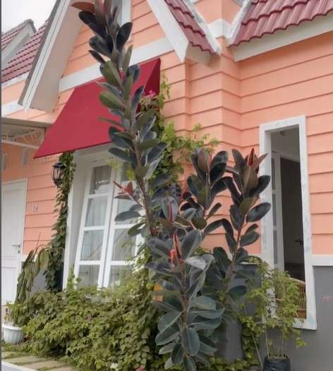 Rumah shabby Karawang