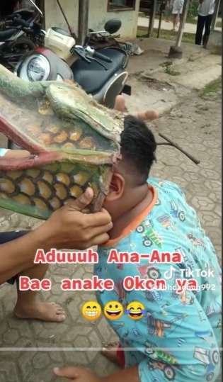 Momen Ngakak Wajah Bocil Nyangkut di Patung, Cosplay Jadi Buaya